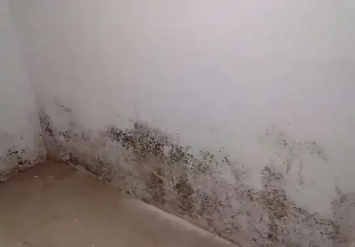 防水≠防滲！80%的人都弄錯(cuò)了！