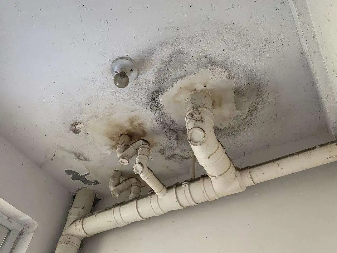 防水做了等于白做？青龍防水教你避開施工8大坑，讓工程不再漏水！