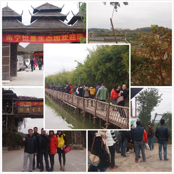 青龍年會(huì) 青龍員工徒步怡景生態(tài)園