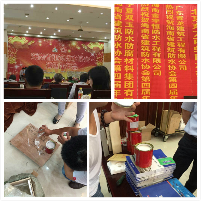 青龍參會(huì)人員現(xiàn)場模擬施工作樣 海南防水